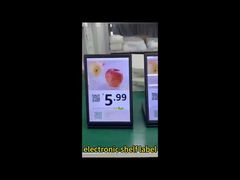 Wi-Fi Direct Bluetooth 双方向通信 ESL