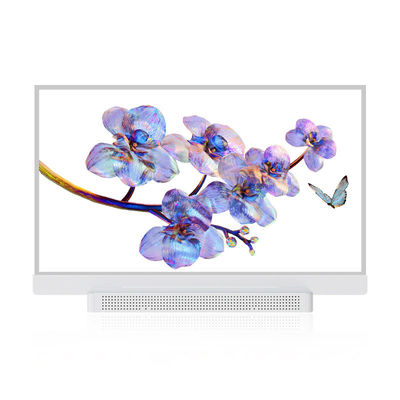 OEM ODM 透明 OLED スクリーン, 55 透明 OLED ディスプレイ