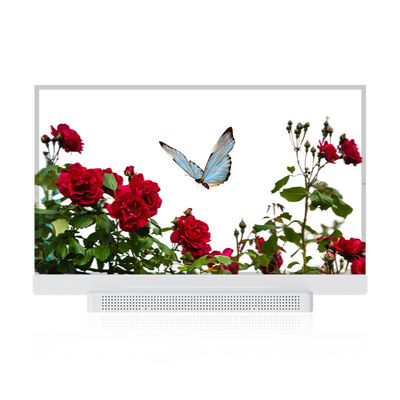 OEM ODM 透明 OLED スクリーン, 55 透明 OLED ディスプレイ