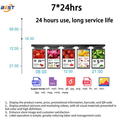 Full Color Dynamic Video Animated TFT ESL Display